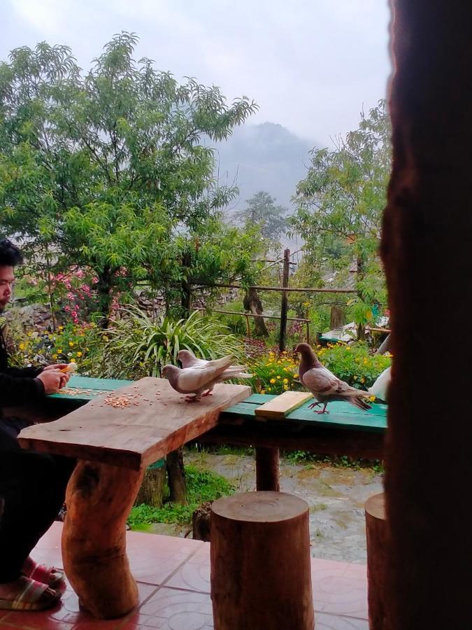 H'Mong Co Tran Sapa Homestay 外观 照片