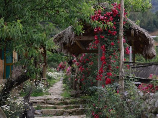 H'Mong Co Tran Sapa Homestay 外观 照片