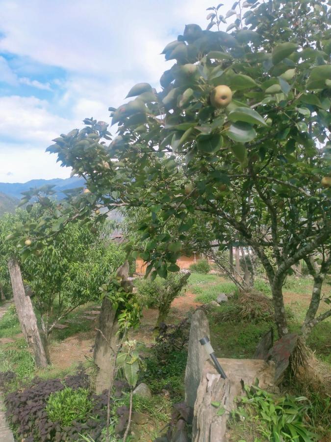 H'Mong Co Tran Sapa Homestay 外观 照片