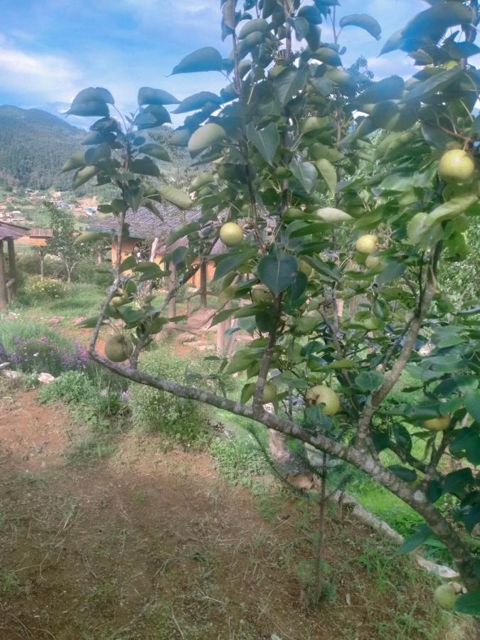 H'Mong Co Tran Sapa Homestay 外观 照片